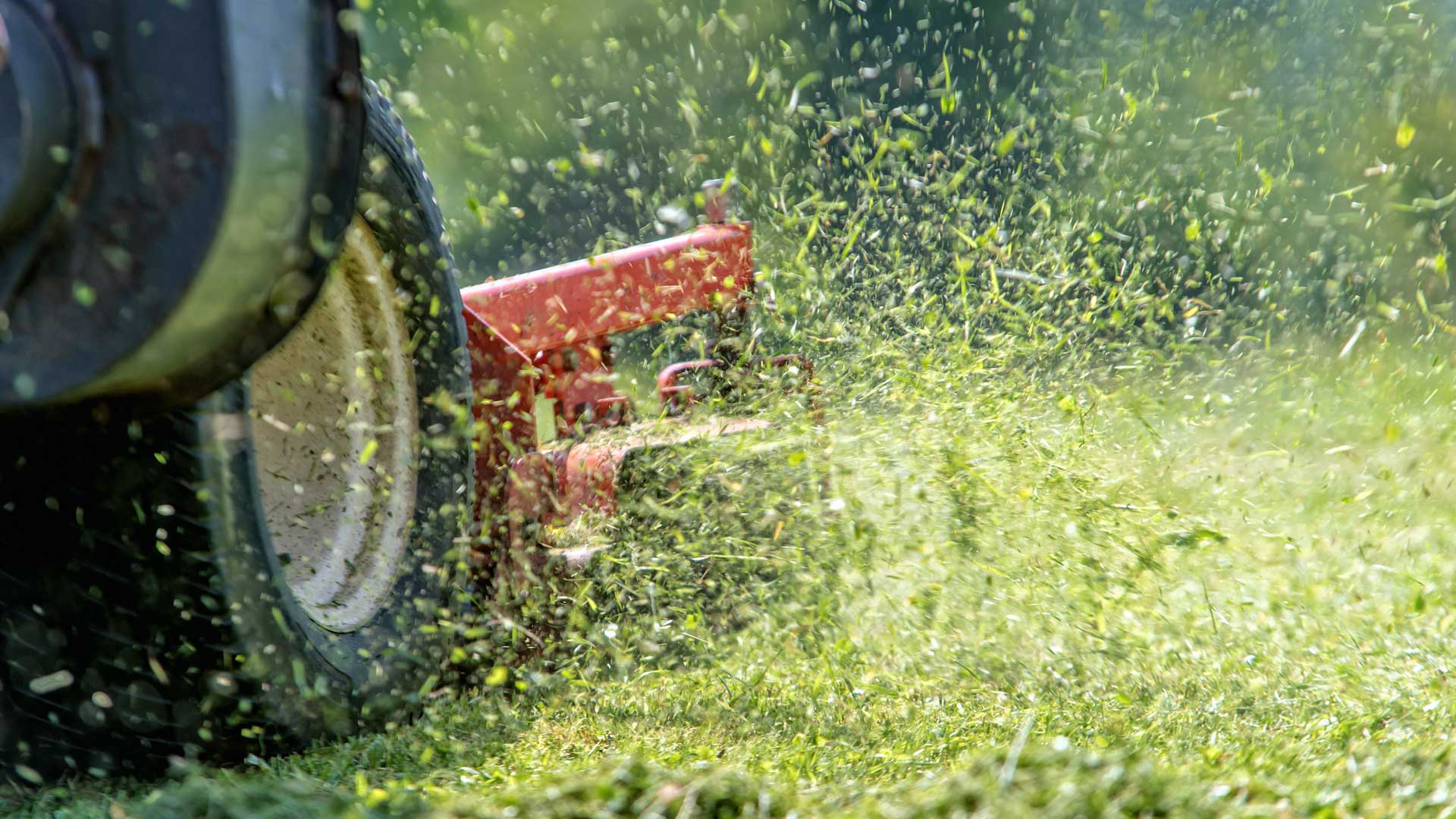 Path to a career in lawn care.