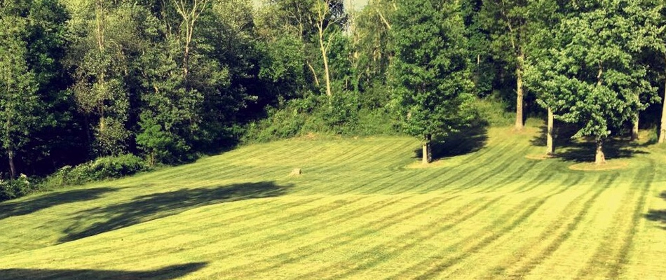 A large lawn that we mow on a regular basis located in Hyde Park, NY.