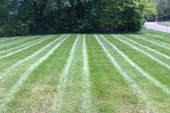 Hyde Park home with a professionally striped mowed lawn.
