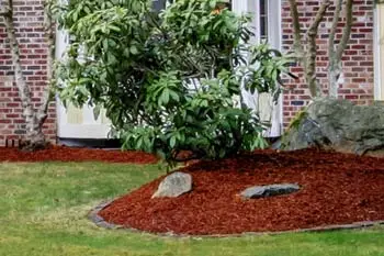 New red mulch installed in a landscaping bed in front of a home in Hyde Park, NY.
